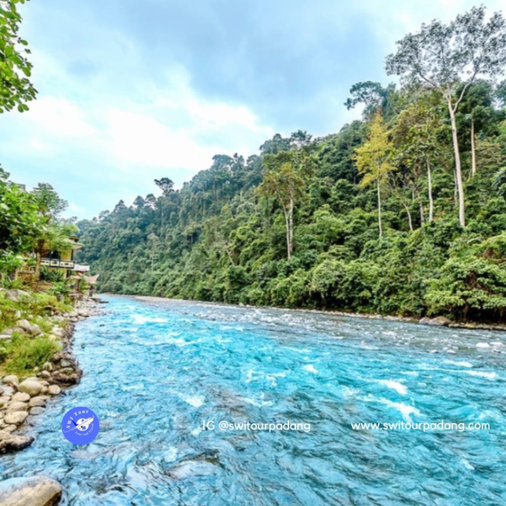 Paket Tour Bukit Lawang